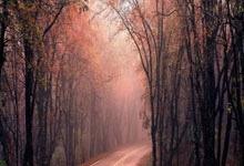 问鼎娱乐：弗拉格复出14+7+4轻松晋级！NBA总经理给出最强模板：巅峰小卡.