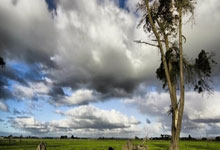 问鼎娱乐：门希克社媒晒与梅西合影：I found a goat.