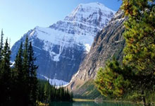 问鼎娱乐：多个社区将免费直播亚细安足球锦标赛半决赛.