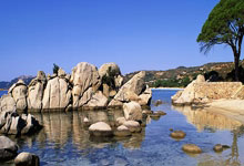 问鼎娱乐：亚冬会｜中国男冰取首胜2025-02-08.